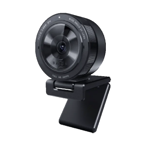Razer Kiyo Pro RZ19-03640100-R3M1 negra