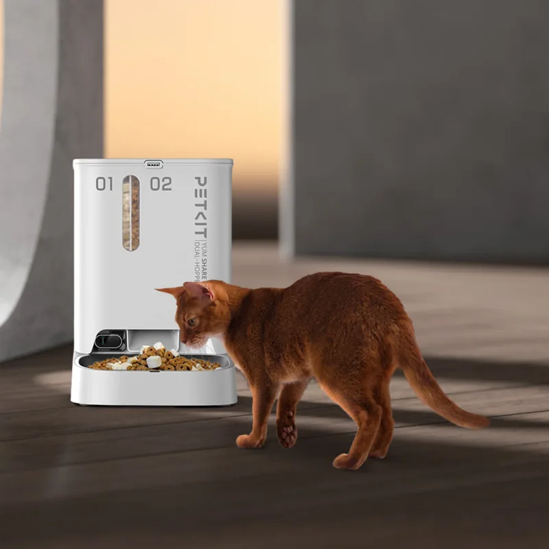 PETKIT YumShare Dual-Hopper P591 con camara junto a un gato